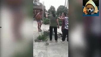 内裤哥2017在线播放,网络爆笑喜剧的年度盛宴